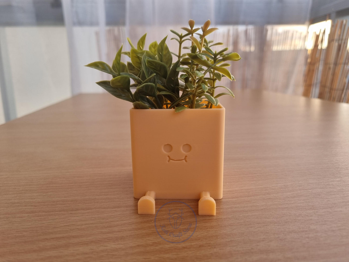 Buddy Plant Pot
